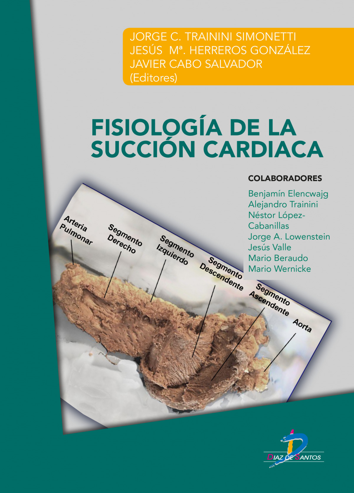 FISIOLOGIA DE LA SUCCION CARDIACA