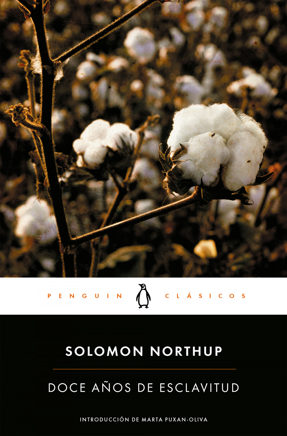 Doce aÑos de esclavitud - Northup, Solomon