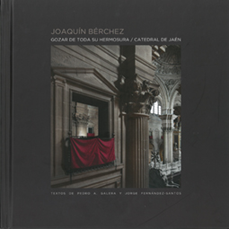 GOZAR DE TODA SU HERMOSURA/ CATEDRAL DE JAEN