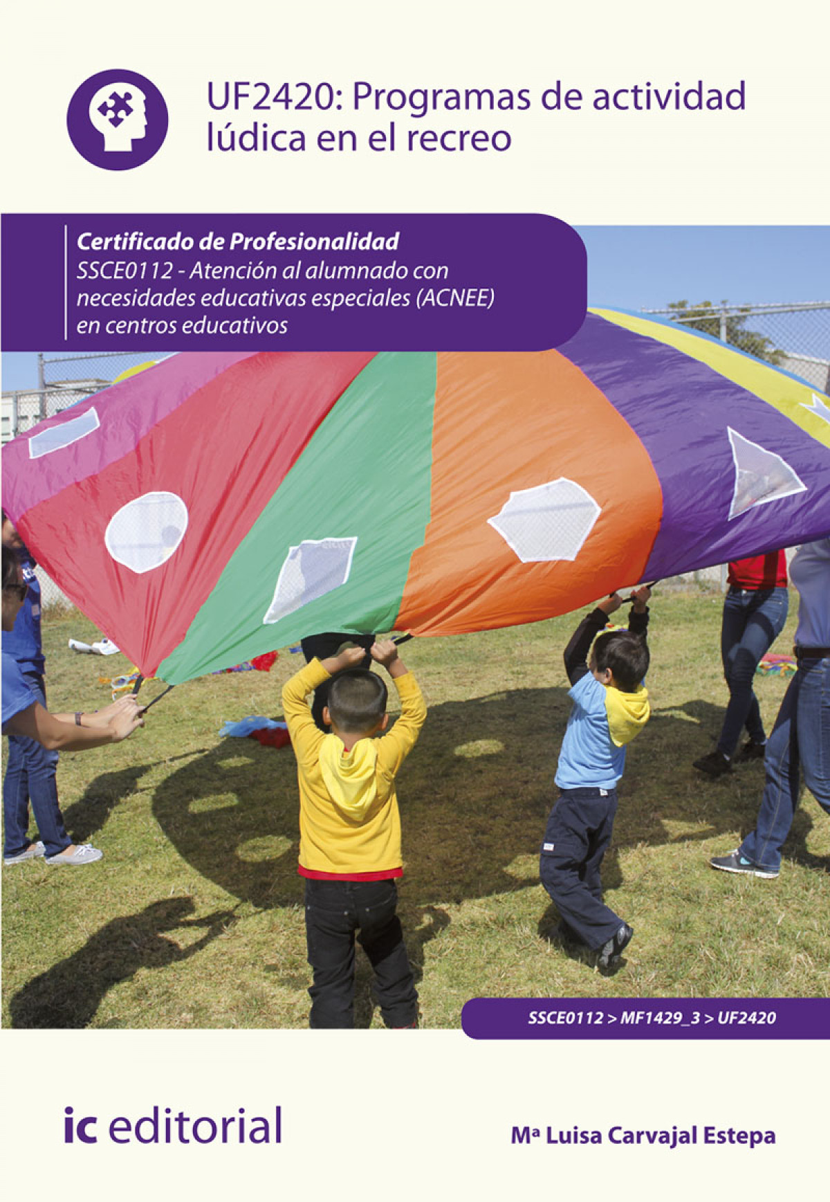 Programas de actividad l�dica en el recreo. SSCE0112 - Atenci�n al alumnado con necesidades educativas especiales (ACNEE) en centros educativos