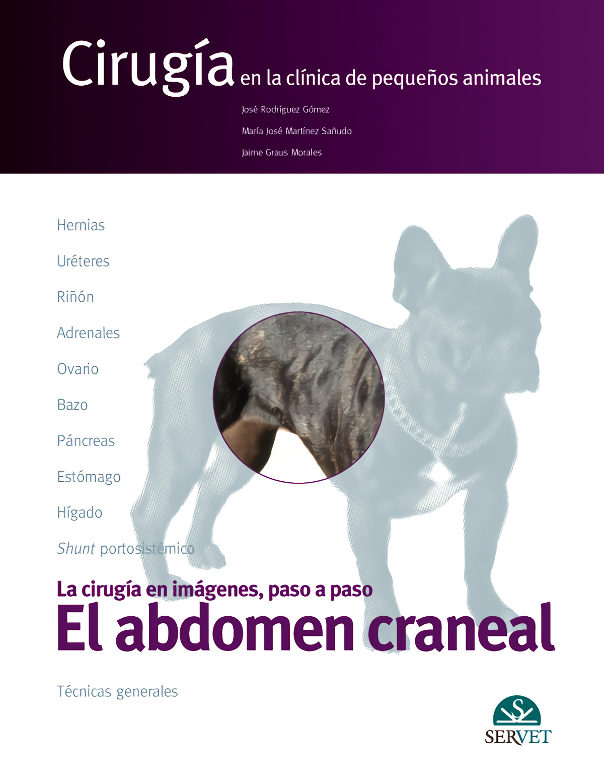 El abdomen craneal. Cirugía en la clínica de pequeños animales - Rodríguez Gómez, José