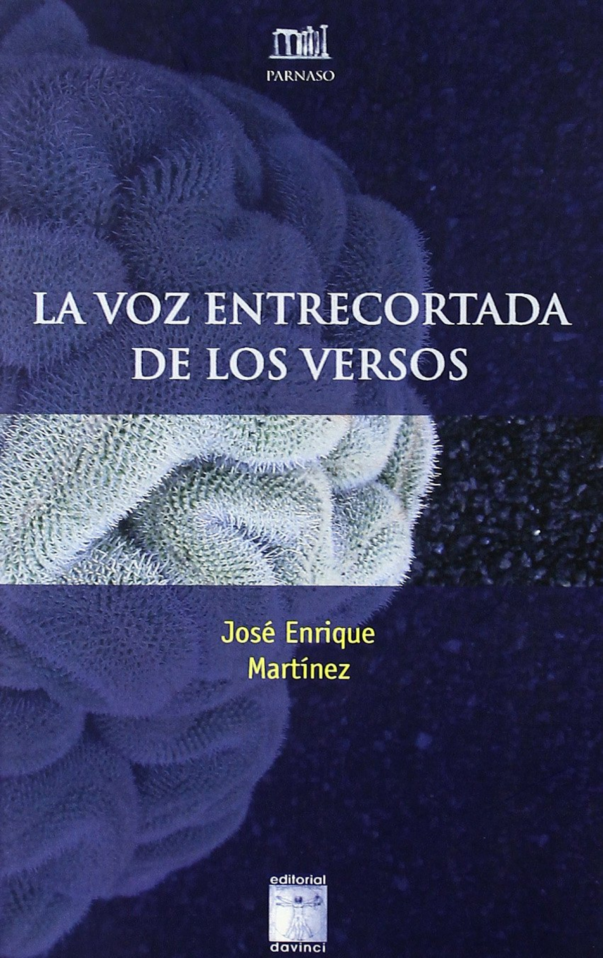 Voz entrecortada de los versos - Martínez, José Enrique