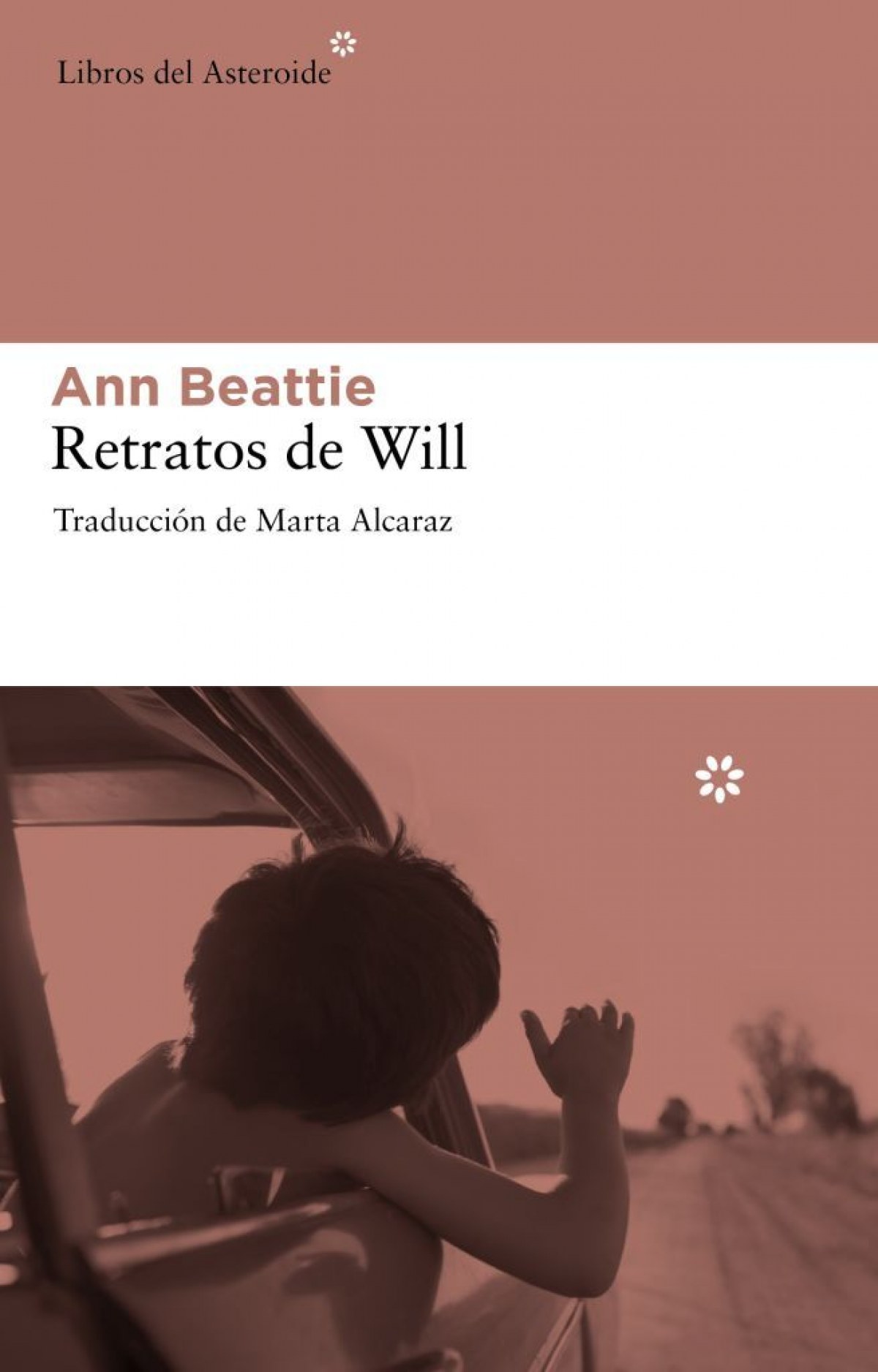 Retratos de Will - Beattie, Ann