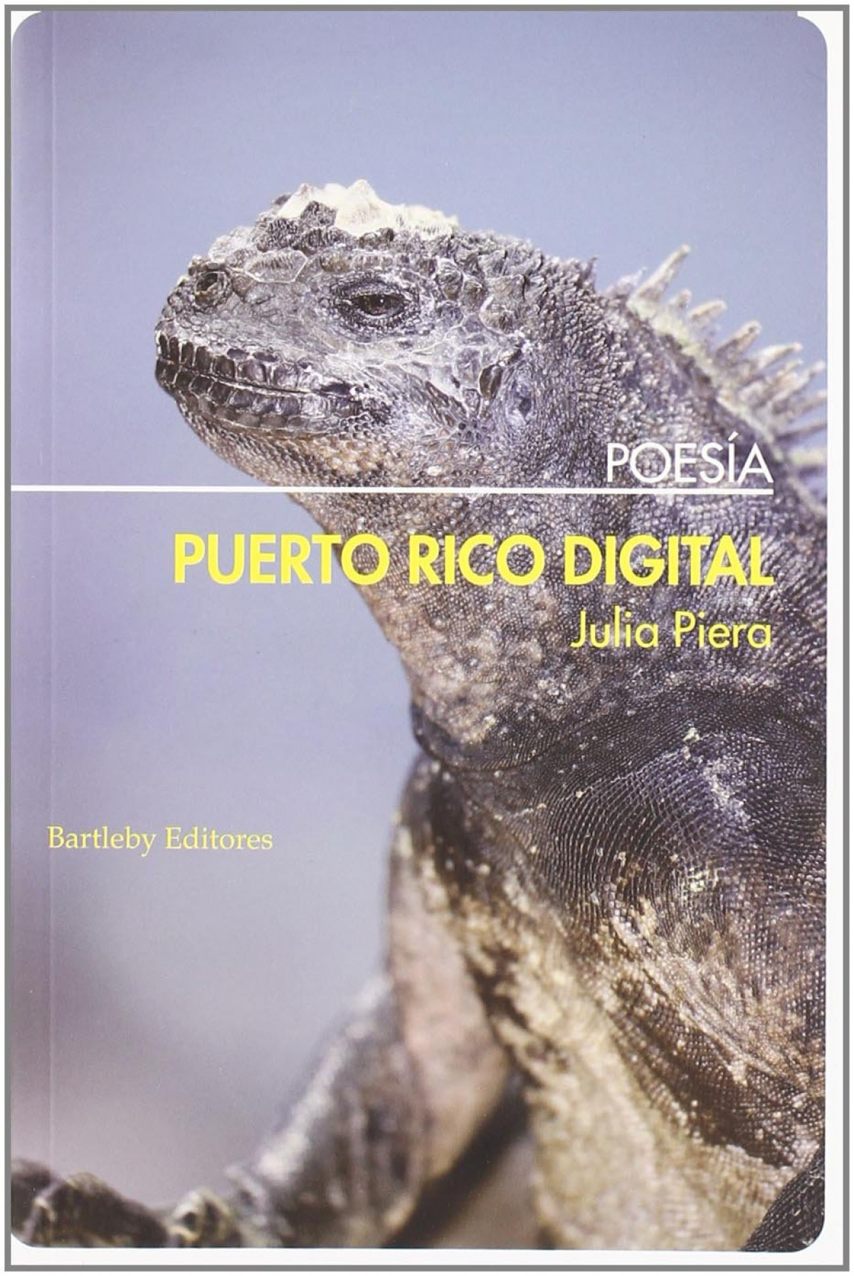 Puerto rico digital - Piera Julia