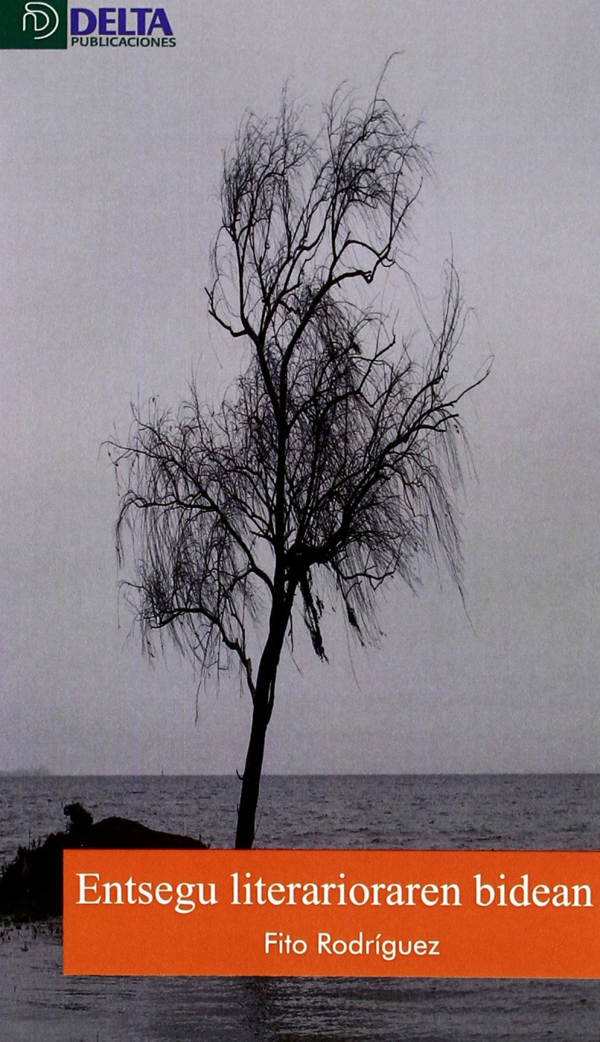 Entsegu literarioraren bidean