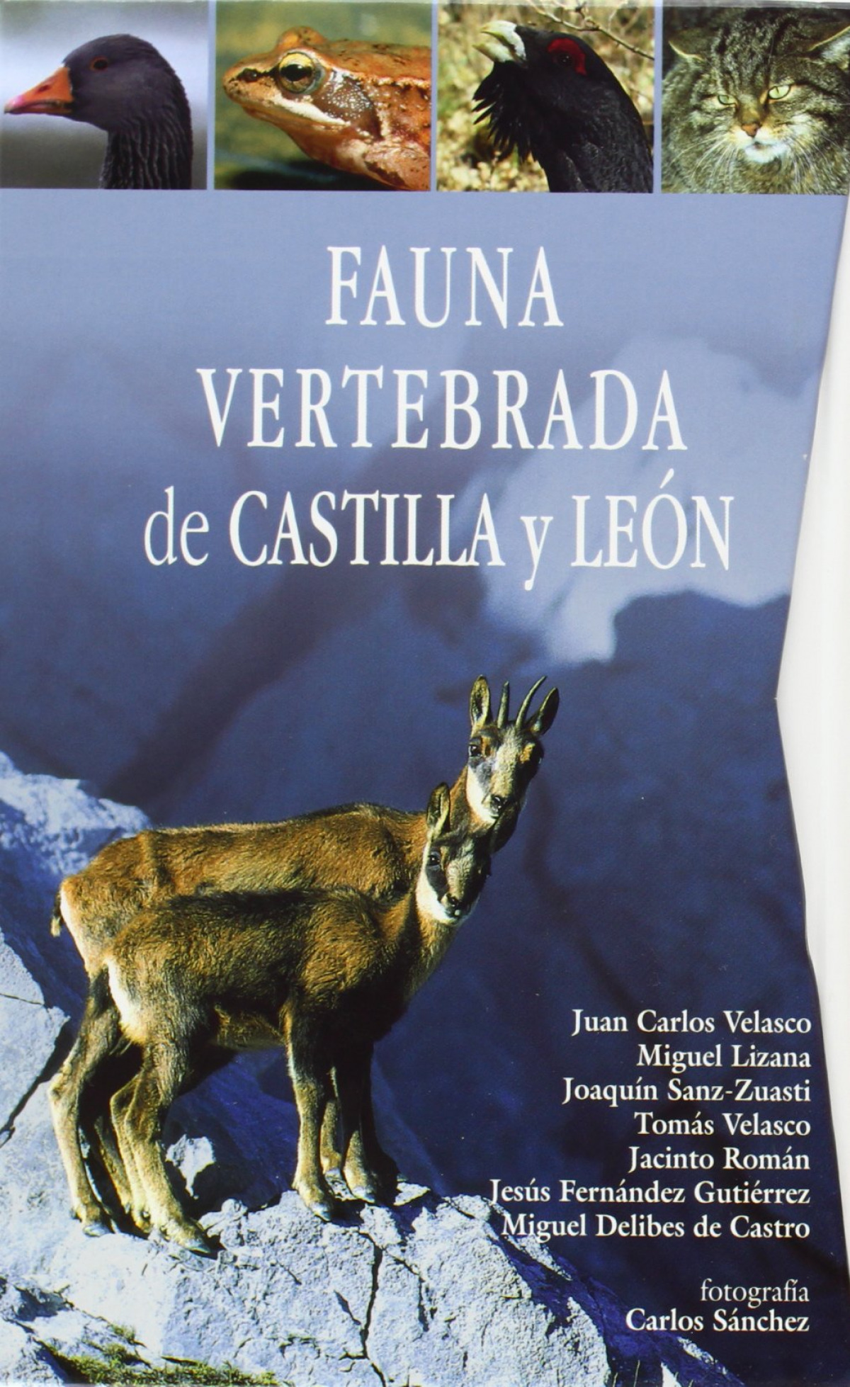 Fauna vertebrada de Castilla y León - Velasco Marcos, Juan Carlos