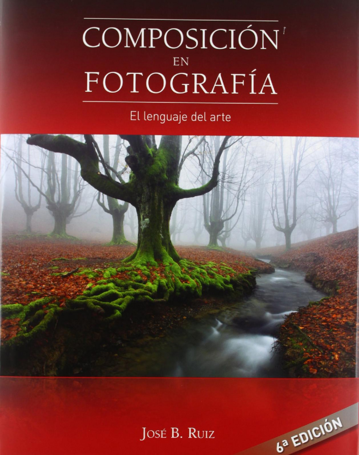 Composici�n en fotograf�a