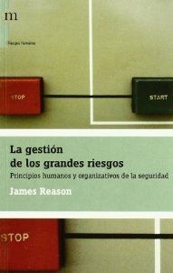 GESTION GRANDES RIESGOS