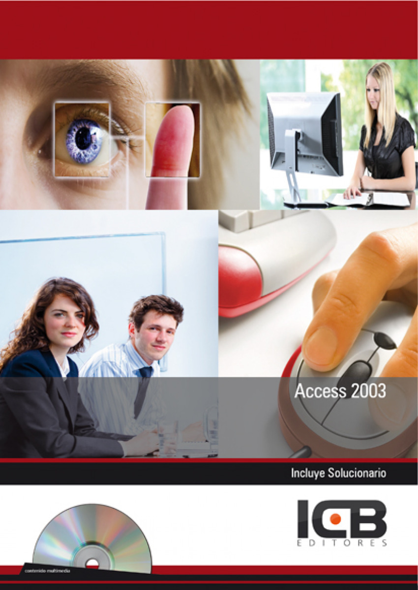 Access 2003 - Icb