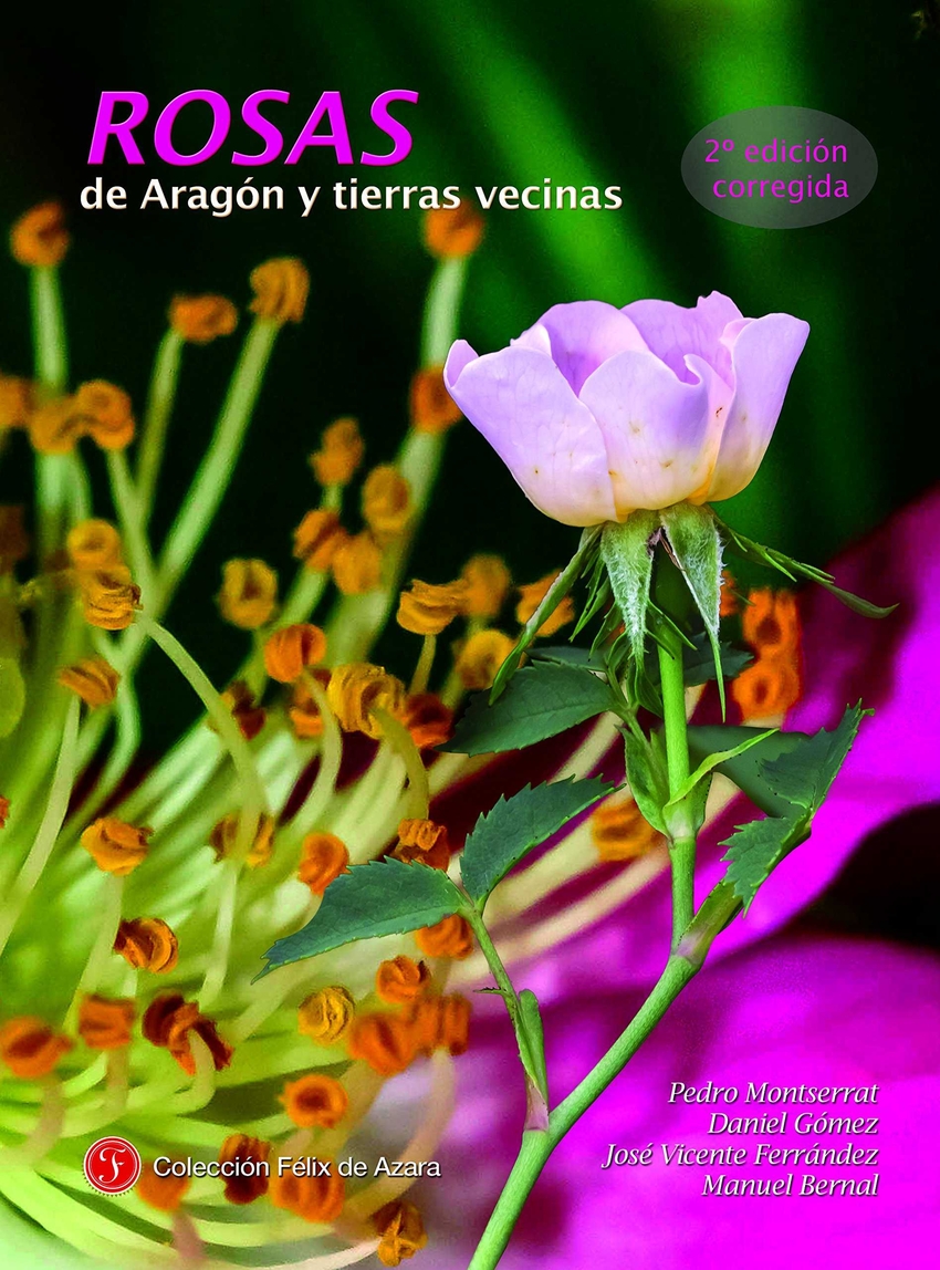 Rosas de Arag�n y tierras vecinas