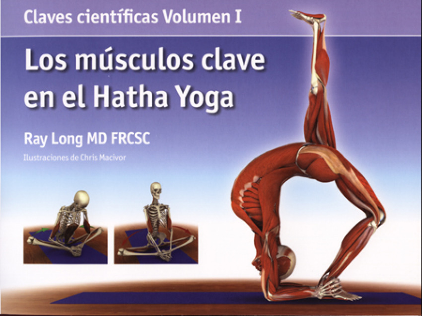 Los músculos clave en el Hatha Yoga - Long, Ray