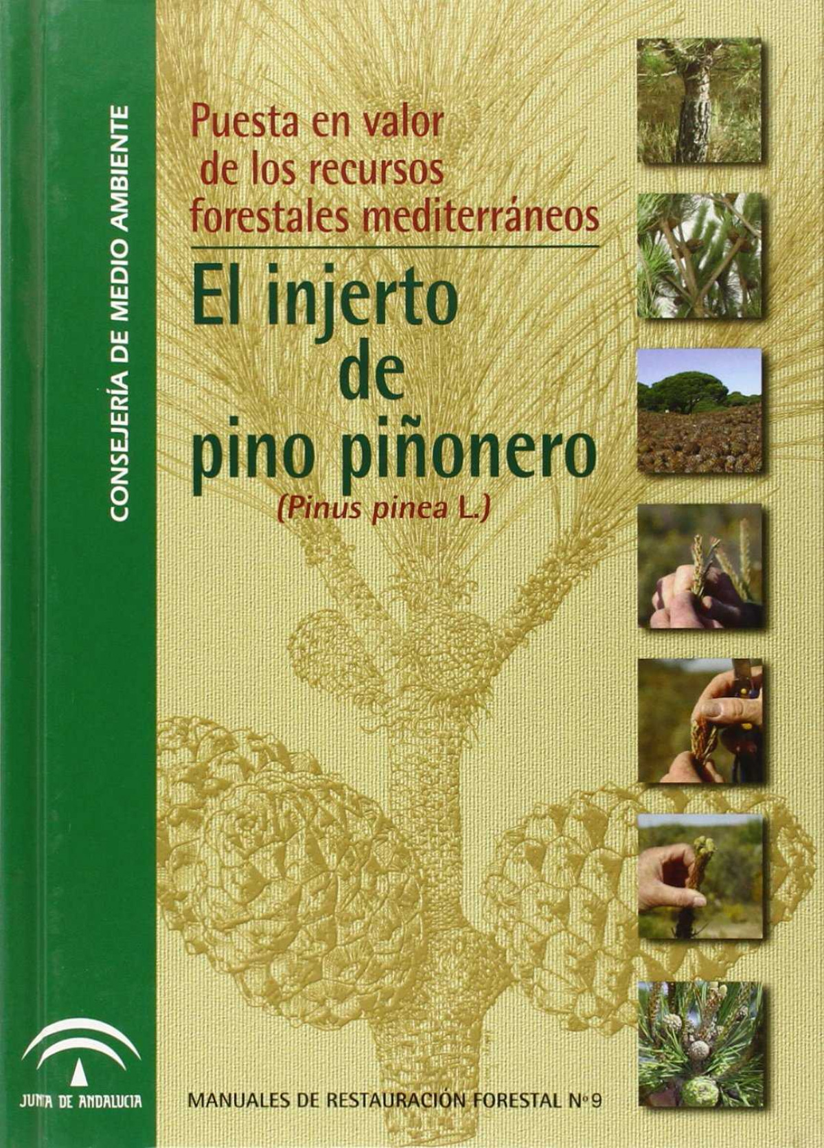 Puesta en valor de recursos forestales mediterr�neos : el in