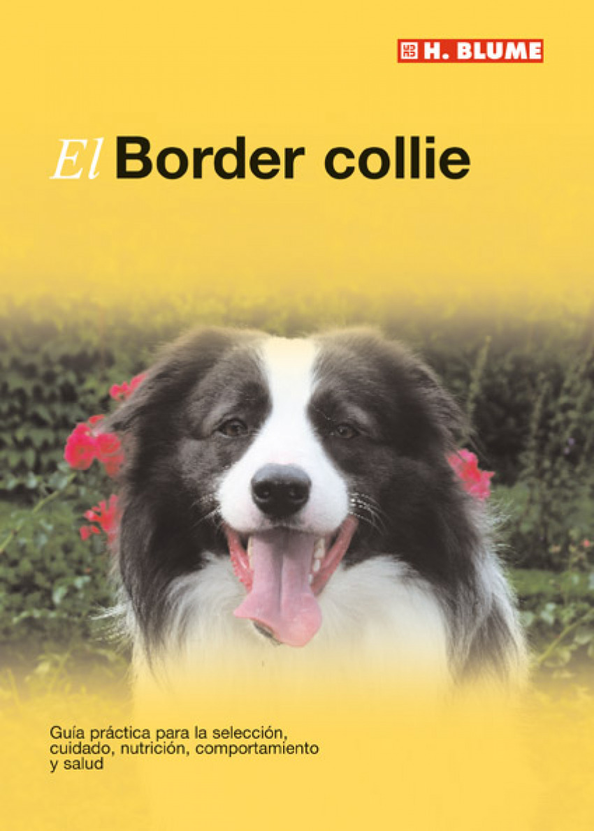 El border Collie - George, David