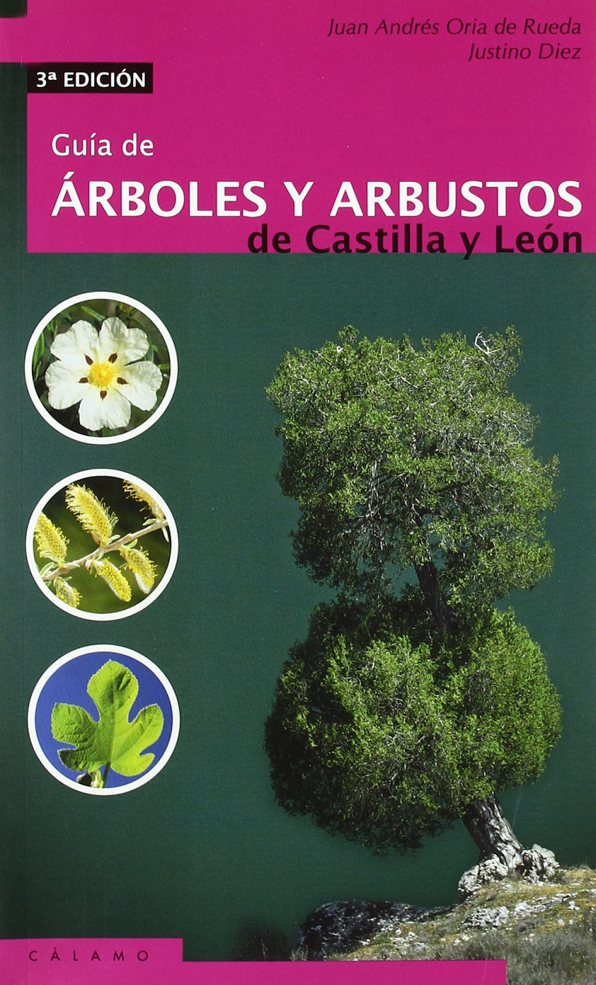Guia de árboles y arbustos de Castilla y León - Oria de Rueda Salguero, Juan Andrés