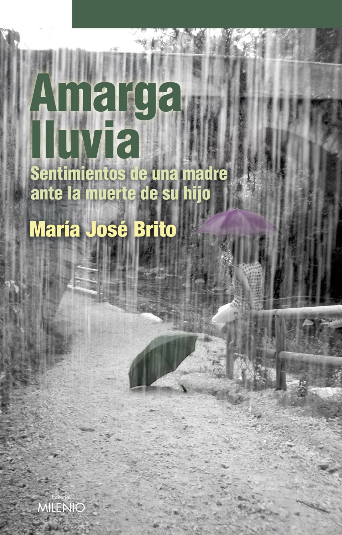 Amarga lluvia Sentimientos de una madre ante la muerte de su hijo - Brito, Maria Jose