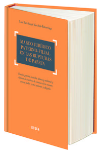 Marco jur�dico paterno-filial en las rupturas de pareja