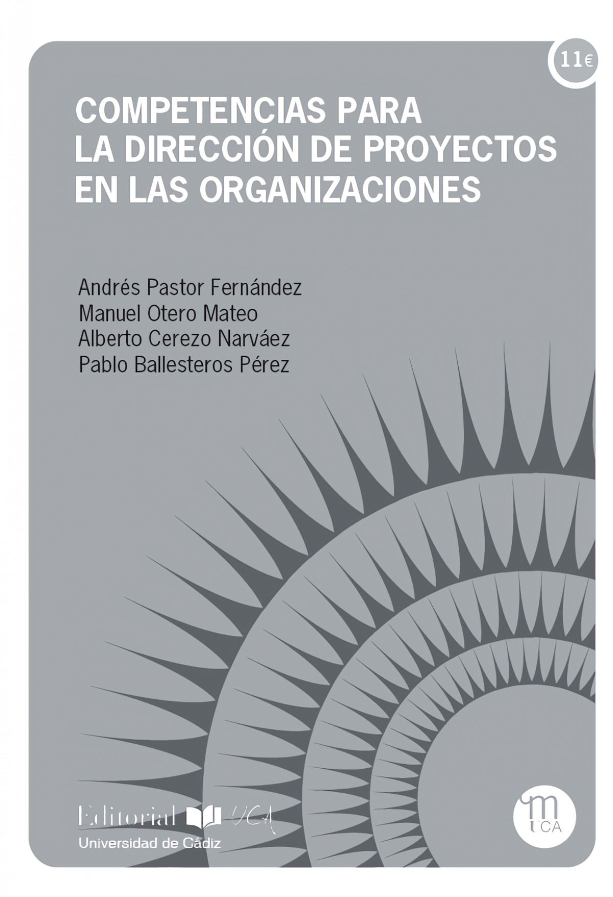 Competencias para la direcci�n de proyectos en las organizaciones