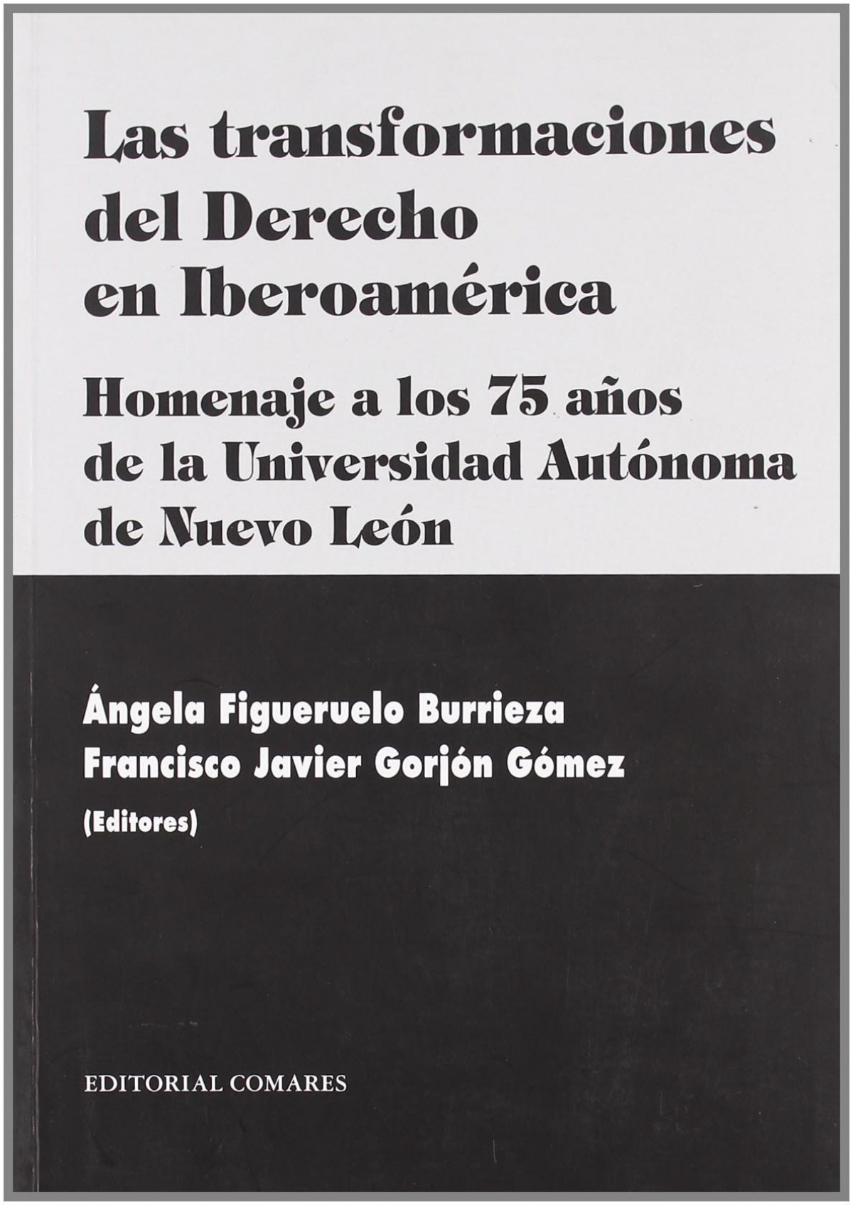 Las transformaciones del derecho en iberoamerica - Figueruelo Burrieza, Angela