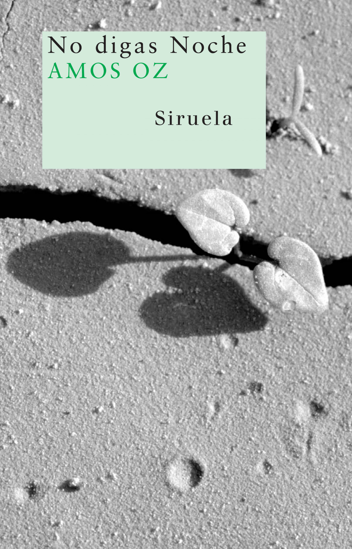 No digas noche - Oz, Amos