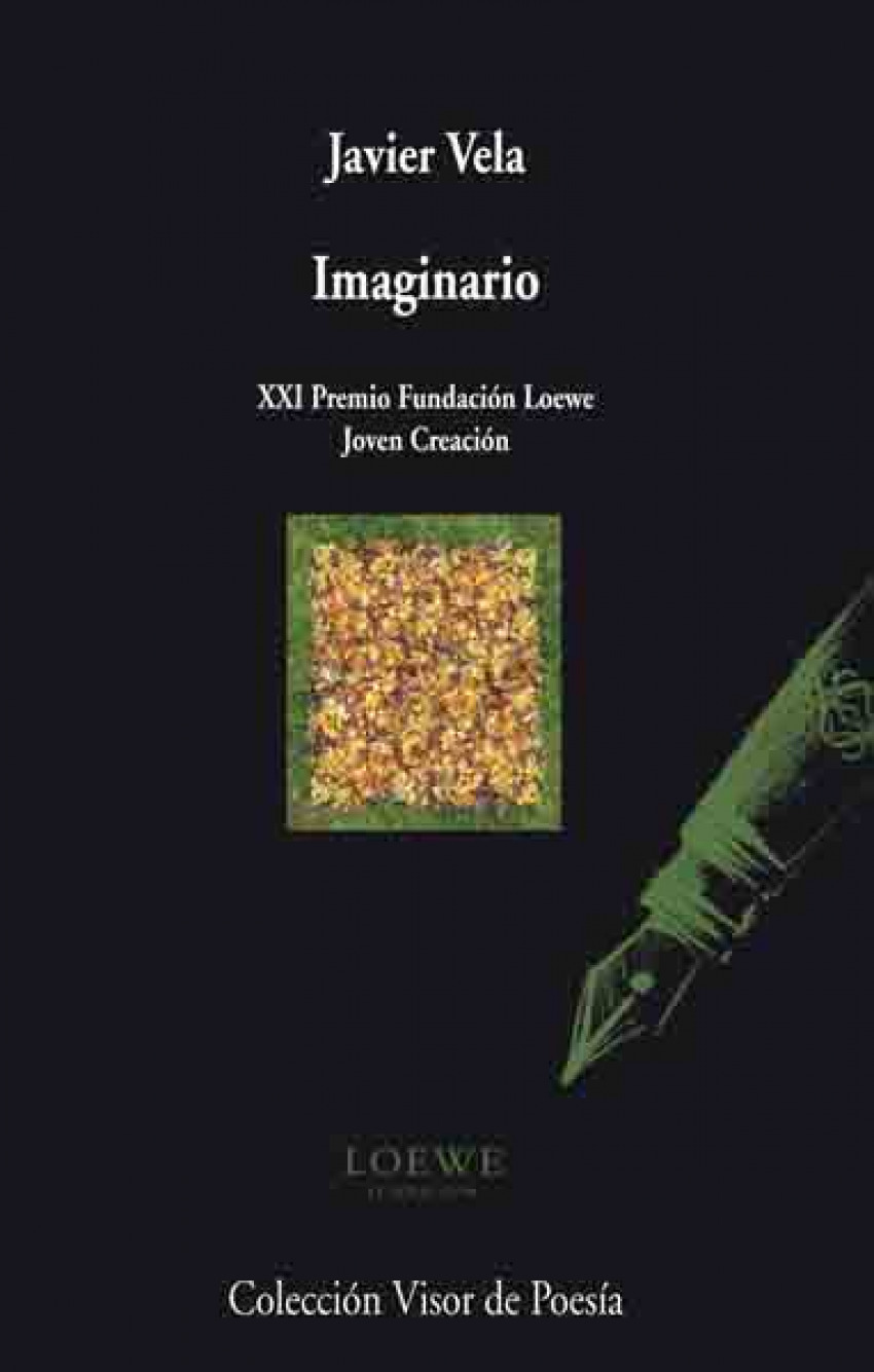 Imaginario v-715 xxi premio fundacion loewe joven creacion xxi premio - Vela, Javier