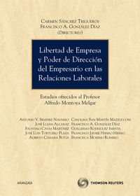 Libertad de empresa y poder de direcci�n del empresario en las relaciones laborales - Estudios ofrecidos al profesor Alfredo Montoya Melgar