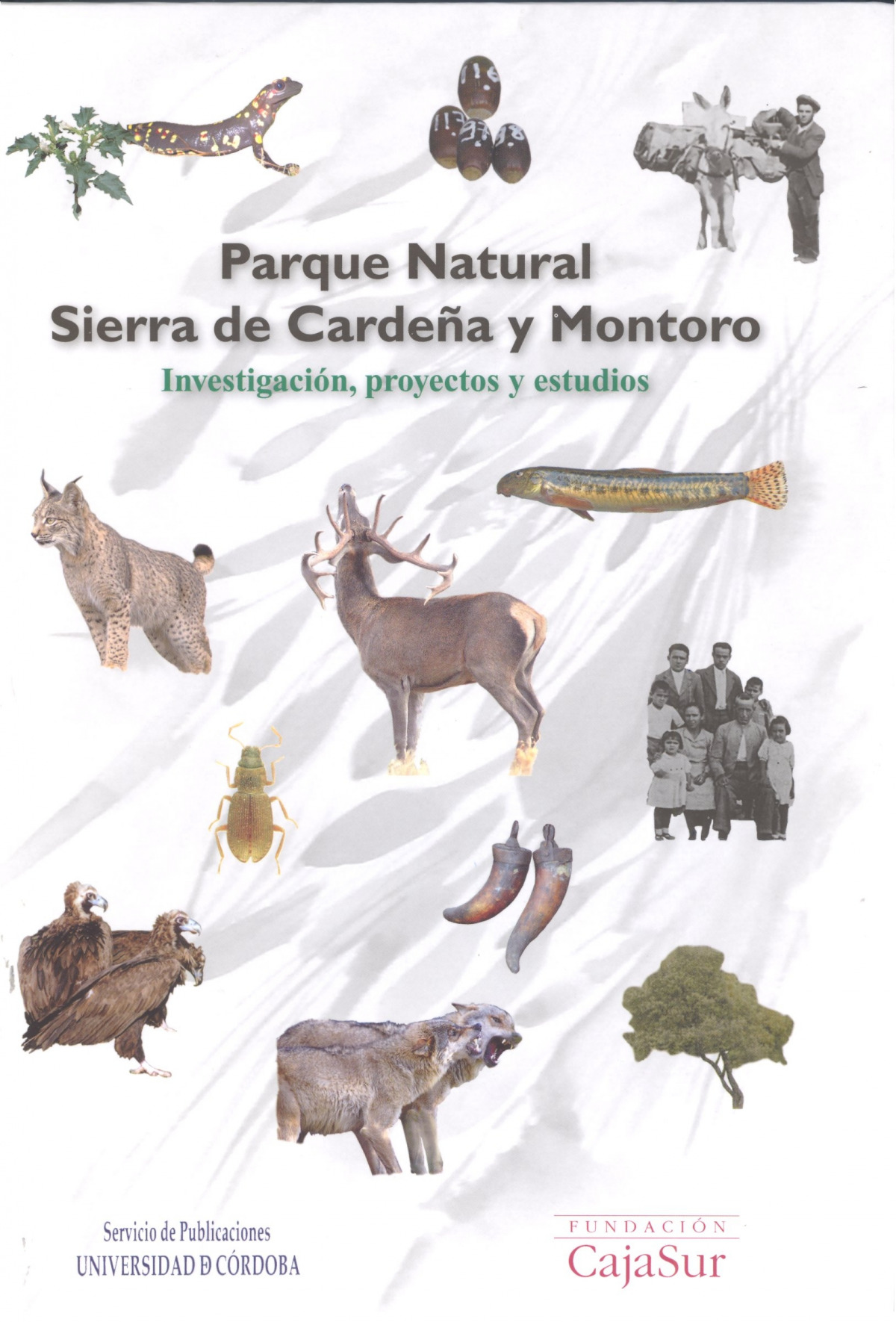 PARQUE NATURAL SIERRA DE CARDE�A Y MONTORO. INVESTIGACION, P
