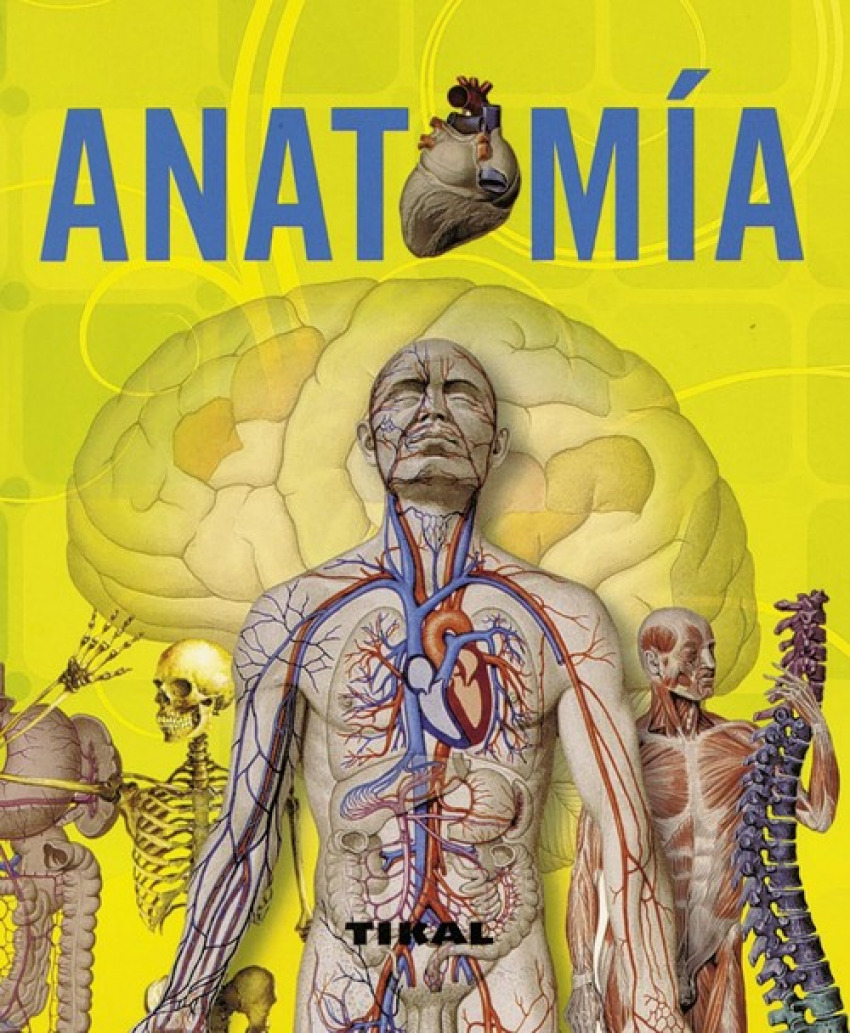 Anatomía (Enciclopedia universal) - Rigutti, Adriana