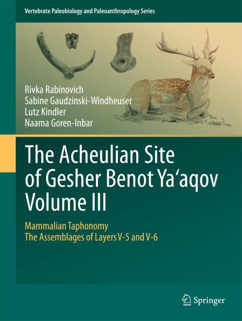 The Acheulian Site of Gesher Benot Ya