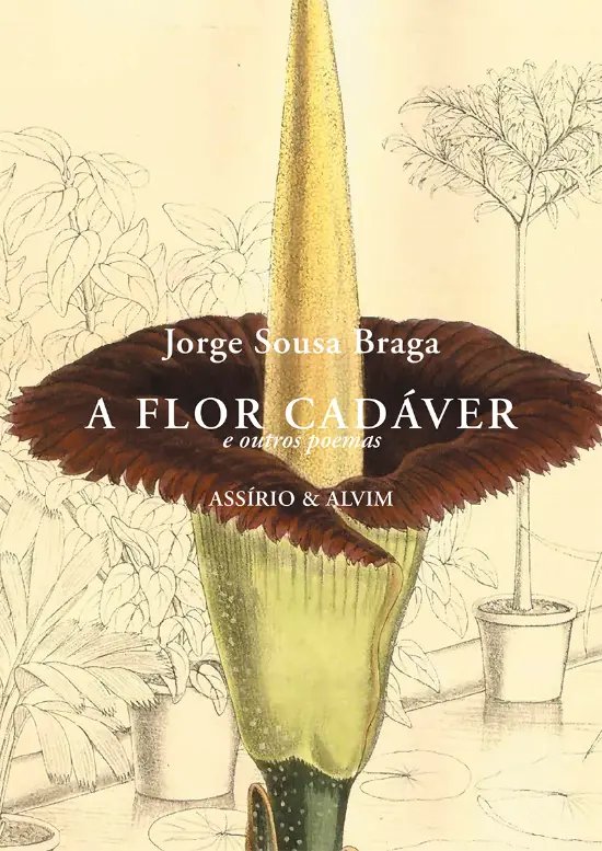 A Flor Cad�ver