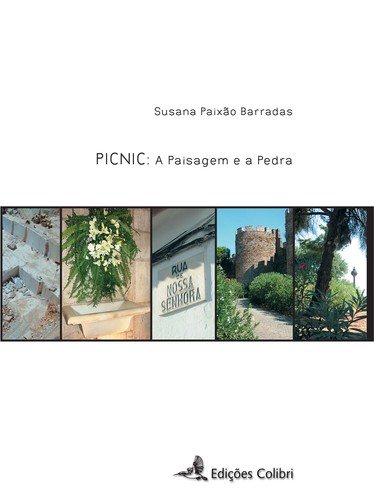Picnic: a paisagem e a pedra - Paixão Barradas, Susana