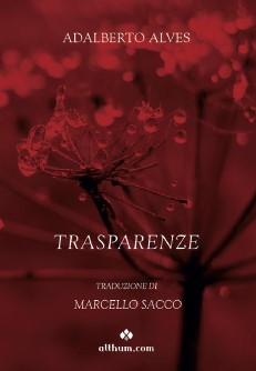 Trasparenze