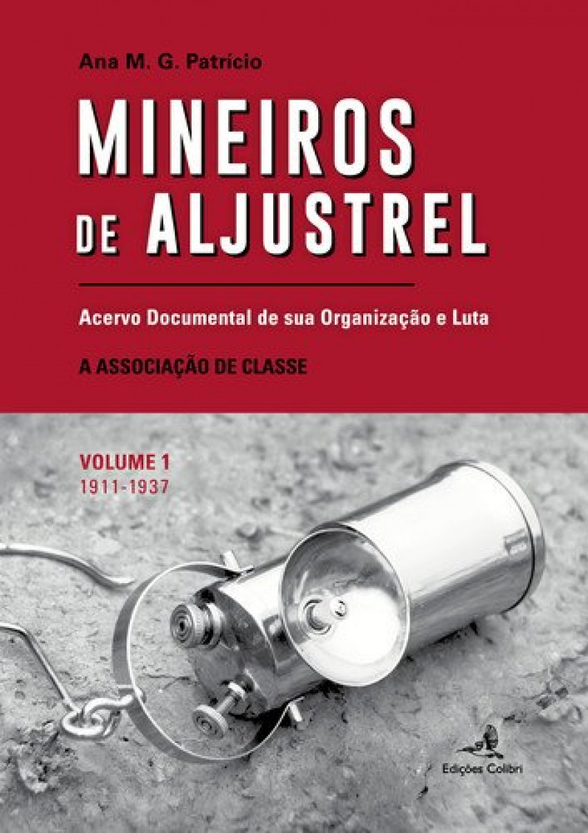 Mineiros de aljustrel: (vol. 1)acervo documental de sua organizaÇÃo e - M. G. Patrício, Ana