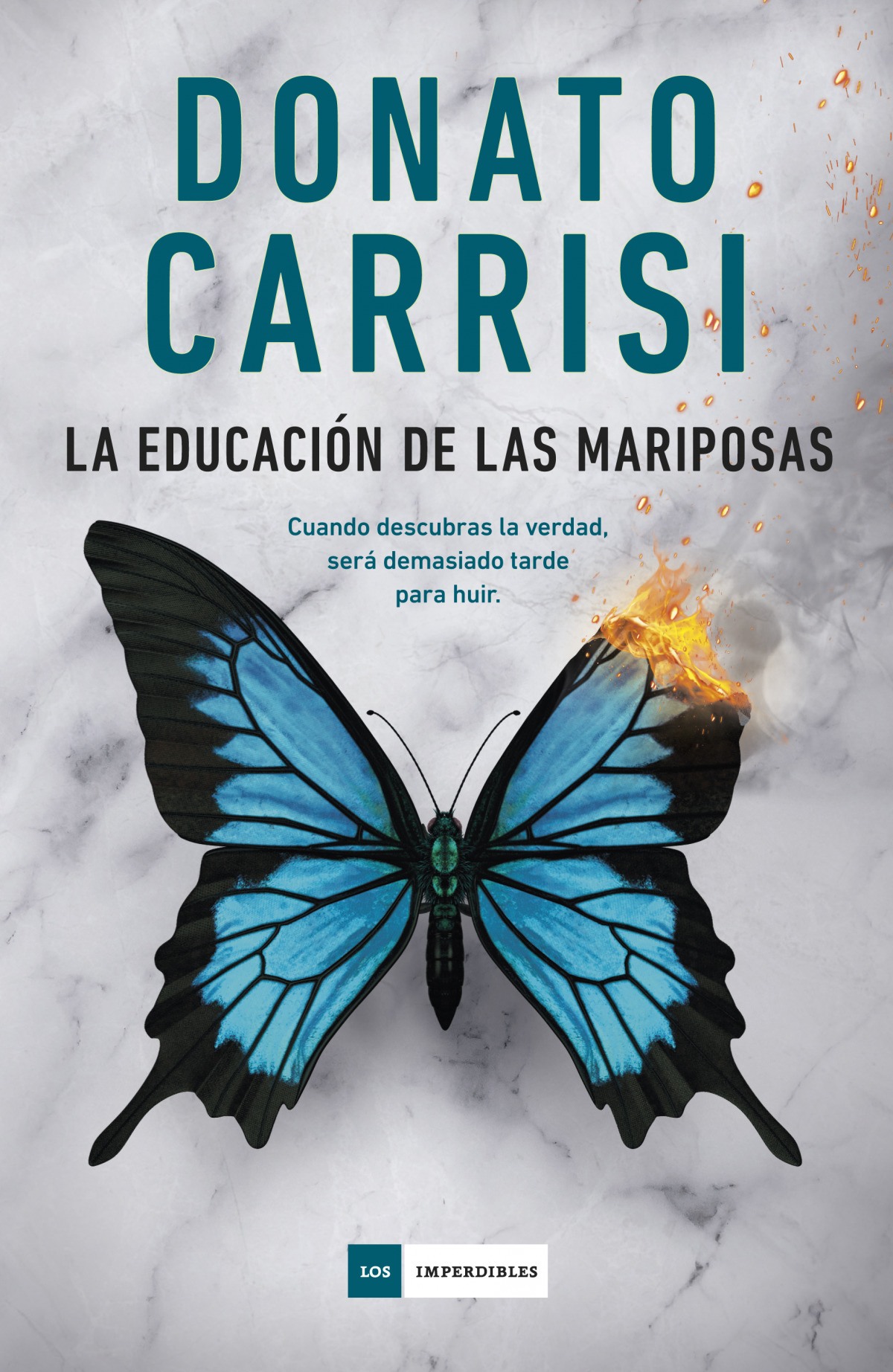 La educaci�n de las mariposas