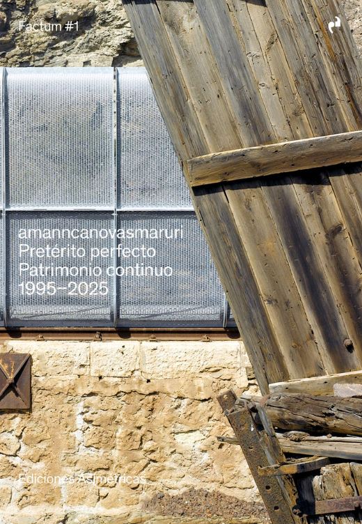 Preterito perfecto:patrimonio continuo