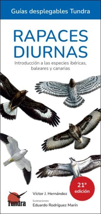 RAPACES DIURNAS 15� EDICION - GUIAS DESPLEGABLES TUNDRA