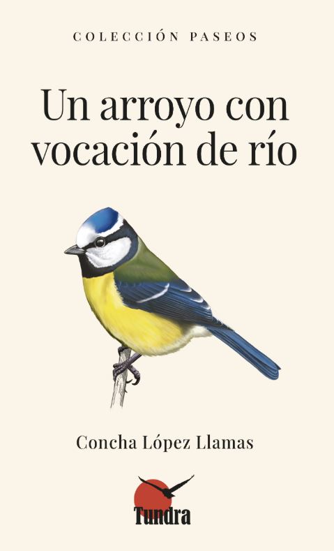 UN ARROYO CON VOCACI�N DEL R�O