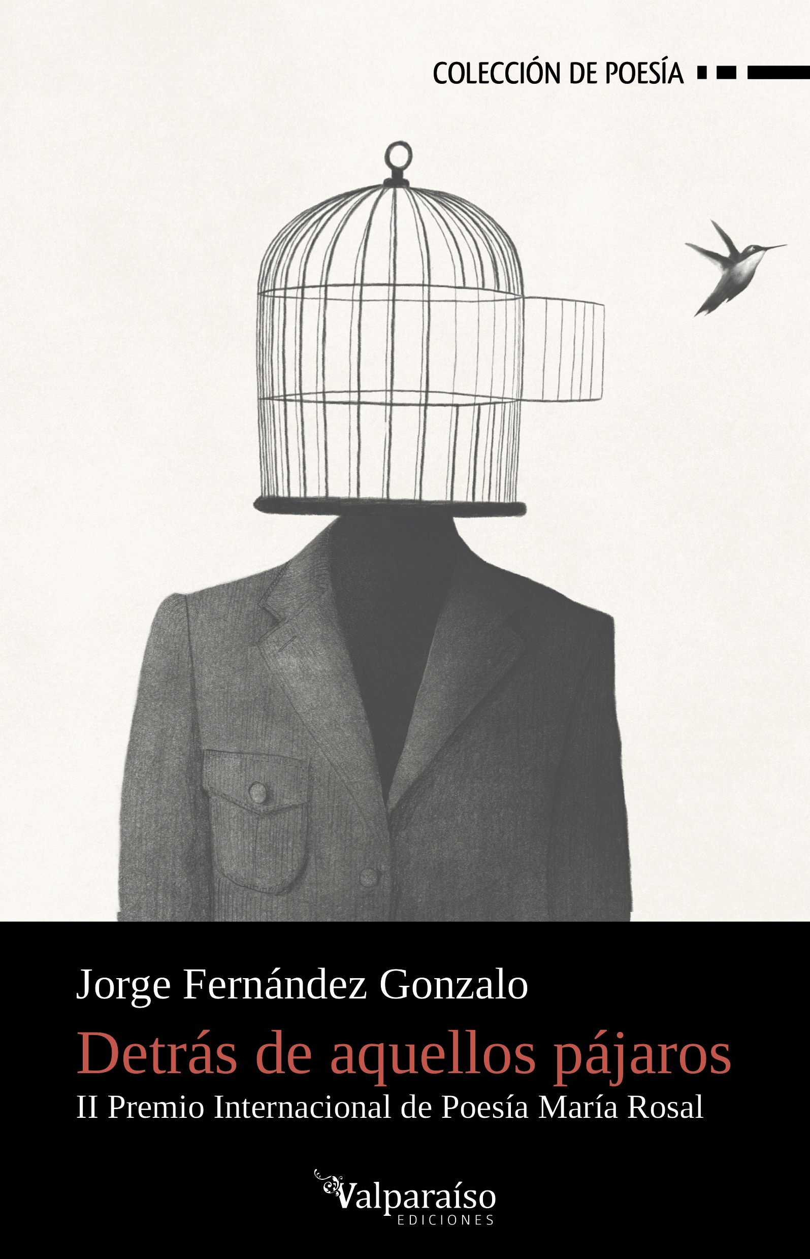 Detr�s de aquellos p�jaros