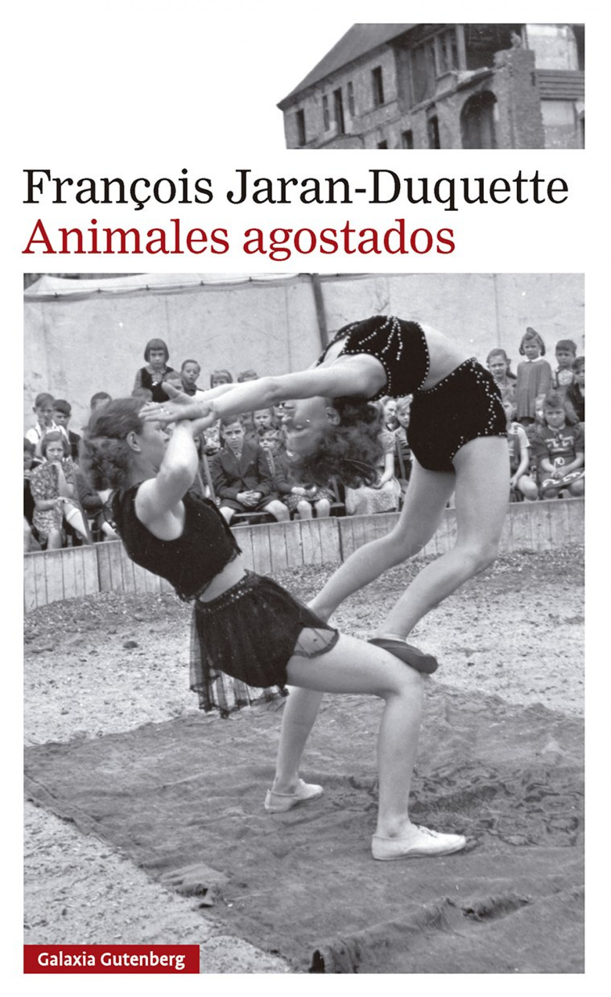 animales agostados