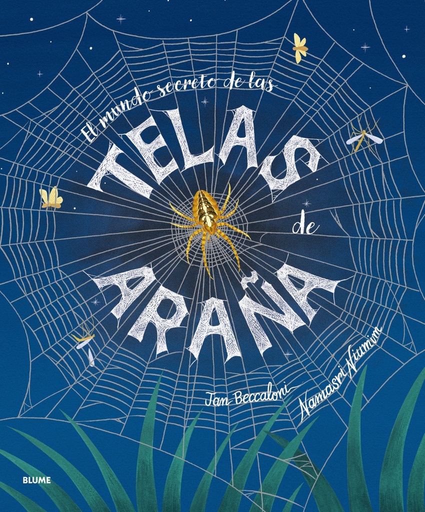 El mundo secreto de las telas de ara�a