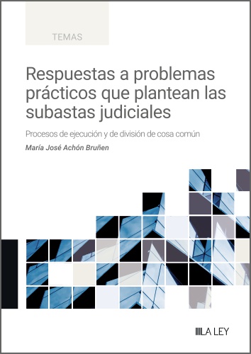 Respuestas a problemas pr�cticos que plantean las subastas judiciales