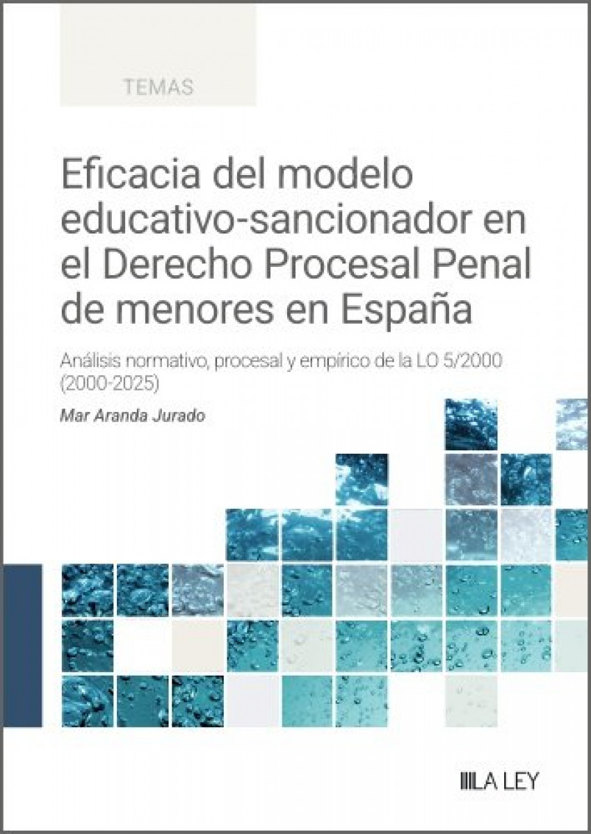 Eficacia del modelo educativo-sancionador en el Derecho Procesal Penal de menores en Espa�a