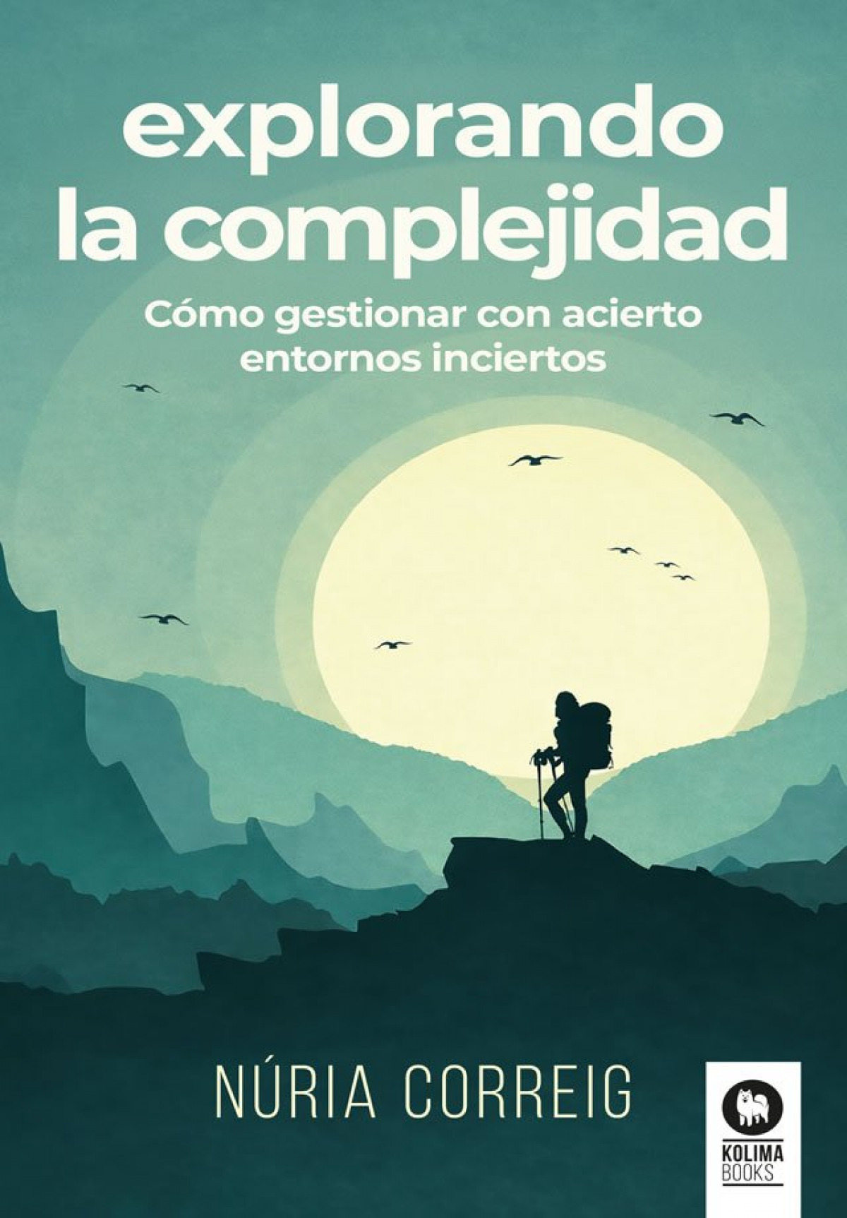 Explorando la complejidad