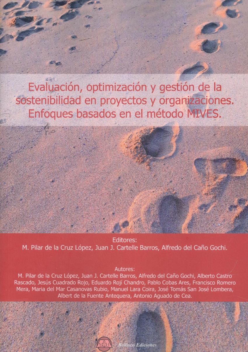 Evaluacion, optimizacion y gestion sostenibilidad proyectos