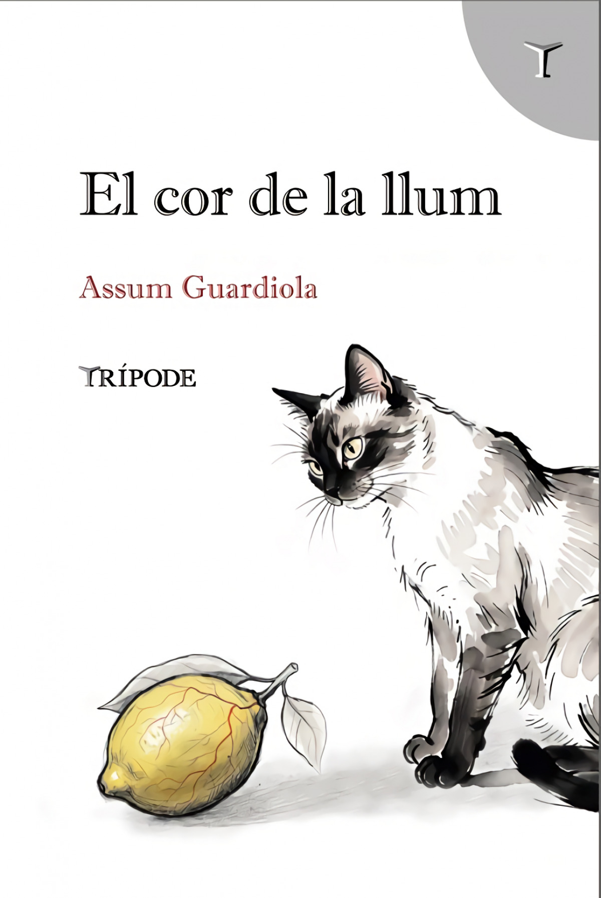 El cor de la llum