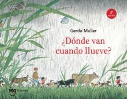 �D�nde van cuando llueve?