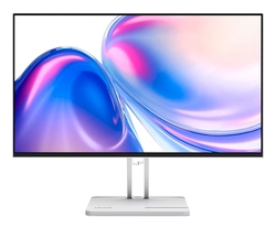 Lenovo L24-4C Gris / Monitor 23.8 144Hz Full Hd