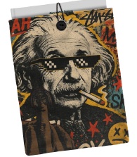 Funda acolchada para libros einstein anarquia 21x28cm