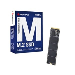 Disco M.2 Nvme 256Gb Biostar M760 Sa122Pme36 2280 Read 3200M