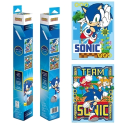 Sonic The Hedgehog - Póster En Caja