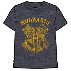 Camiseta Hogwarts Harry Potter Adulto